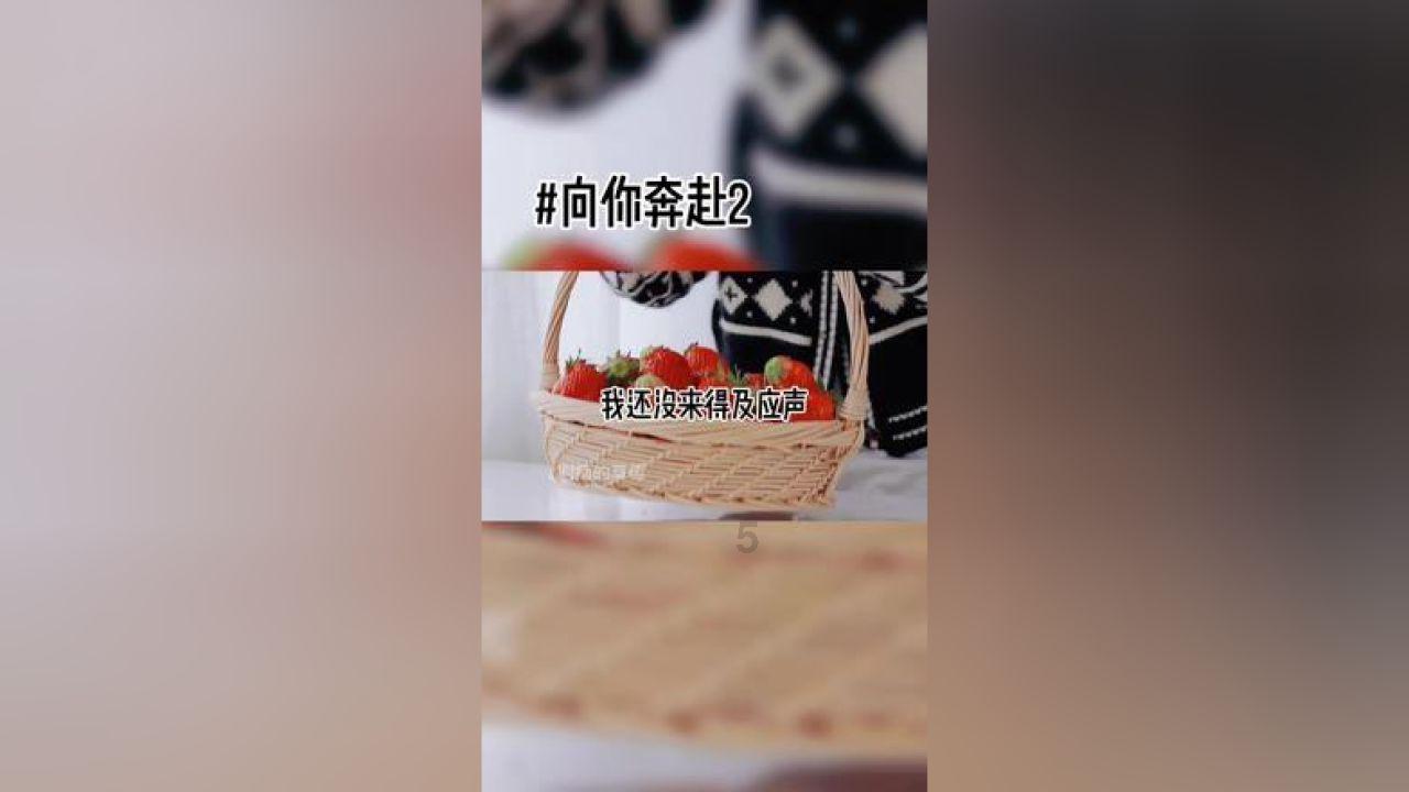 面包店甜品